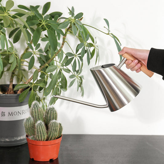 New long mouth fleshy watering kettle household watering kettle wooden handle stainless steel watering kettle gardening tools