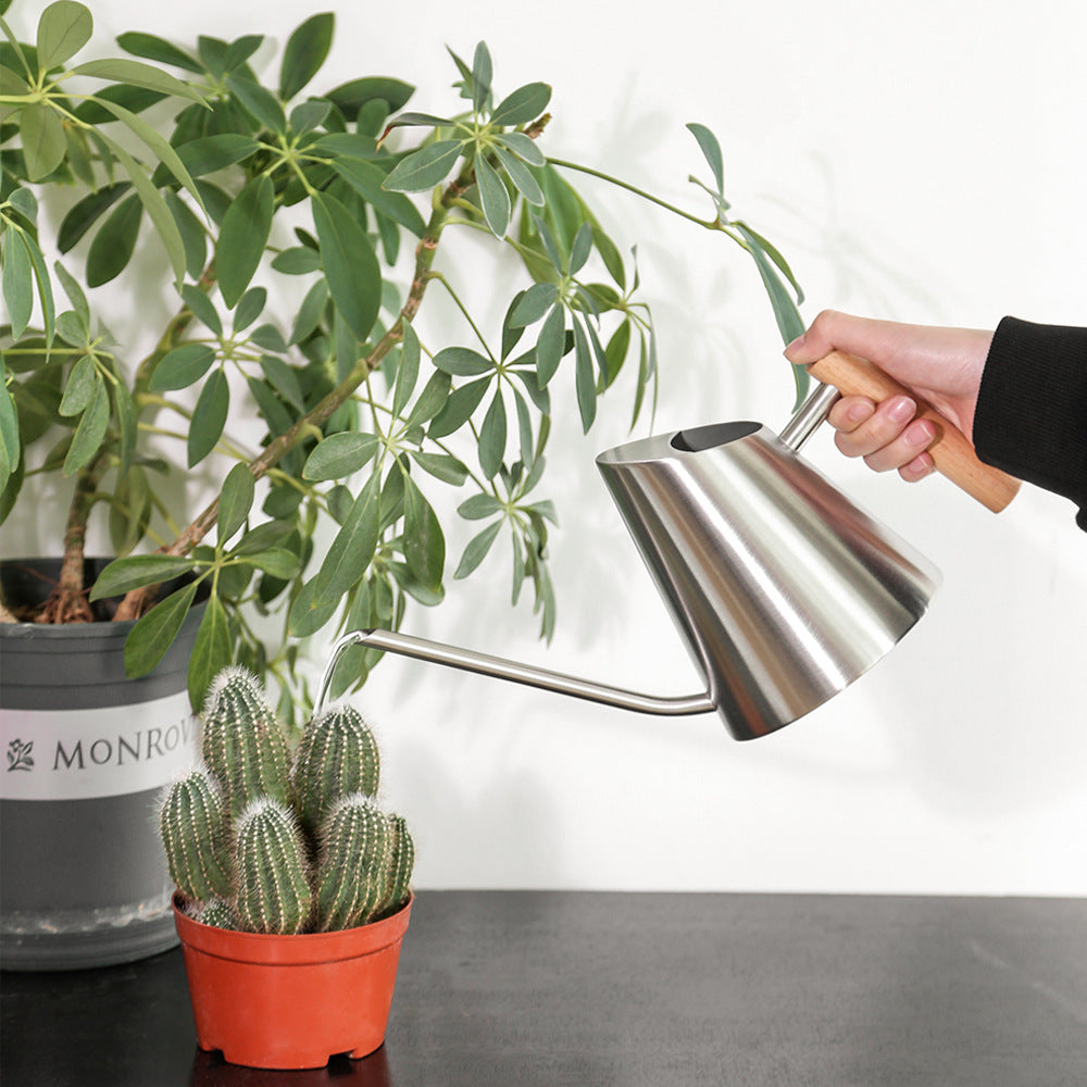 New long mouth fleshy watering kettle household watering kettle wooden handle stainless steel watering kettle gardening tools