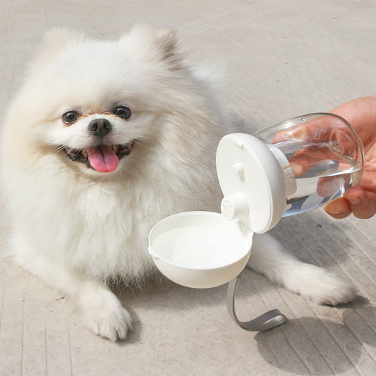 Pet supplies water cup cat and dog outdoor kettle portable small accompanying cup water bottle high temperature resistant pet water cup