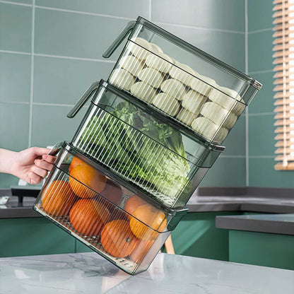 Refrigerator kitchen storage artifact sealed rectangular plastic fruit classification and sorting vegetable PET fresh-keeping box new style