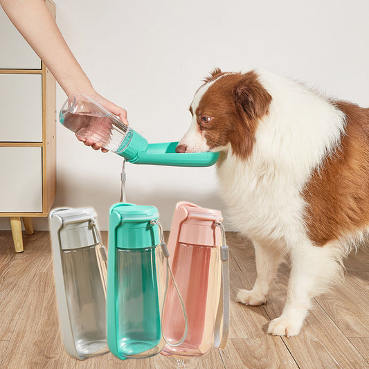 Pet water cup dog outdoor kettle dog portable large capacity foldable dog water bottle dog walking drinking water feeder factory