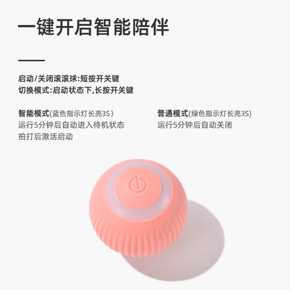 Pet Gravitational Rechargeable Cat Toy Ball Self-Hi Bore Relief Artifact Amusing Cat Stick Electric Smart Amusing Cat Ball Pet Supplies