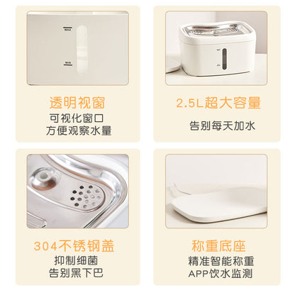 Smart pet water fountain for cats, cross-border exclusive, automatic sensor, circulating fresh water, wireless filtration, quiet operation.